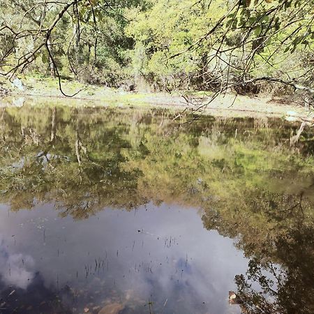 הוילה קורטס דה לה פרונטרה Casa El Cerro מראה חיצוני תמונה