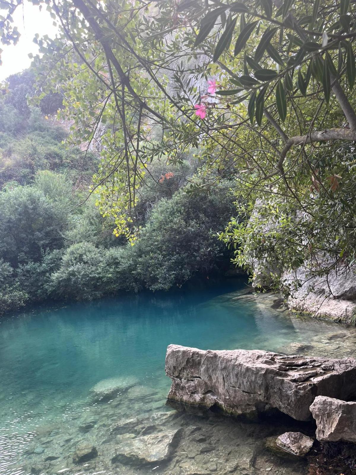 הוילה קורטס דה לה פרונטרה Casa El Cerro מראה חיצוני תמונה